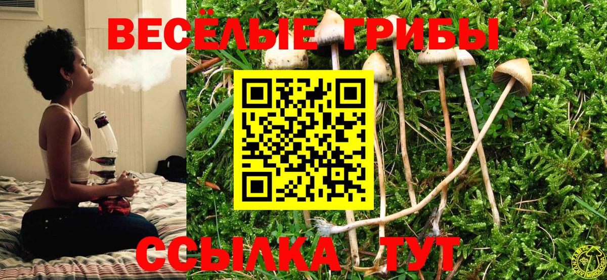 что такое   Вход с VPN  Сатка  Галлюциногенные грибы ЛСД 