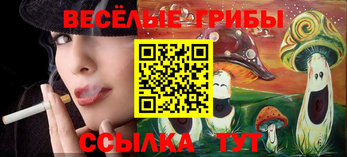 Псилоцибиновые грибы мицелий Сатка