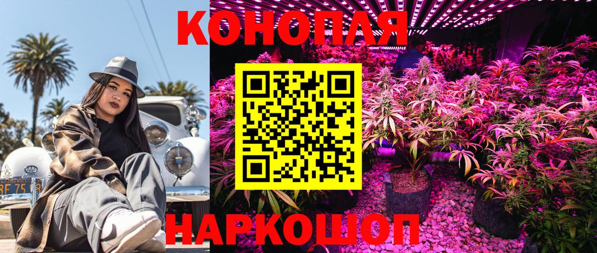 Марихуана гибрид Сатка